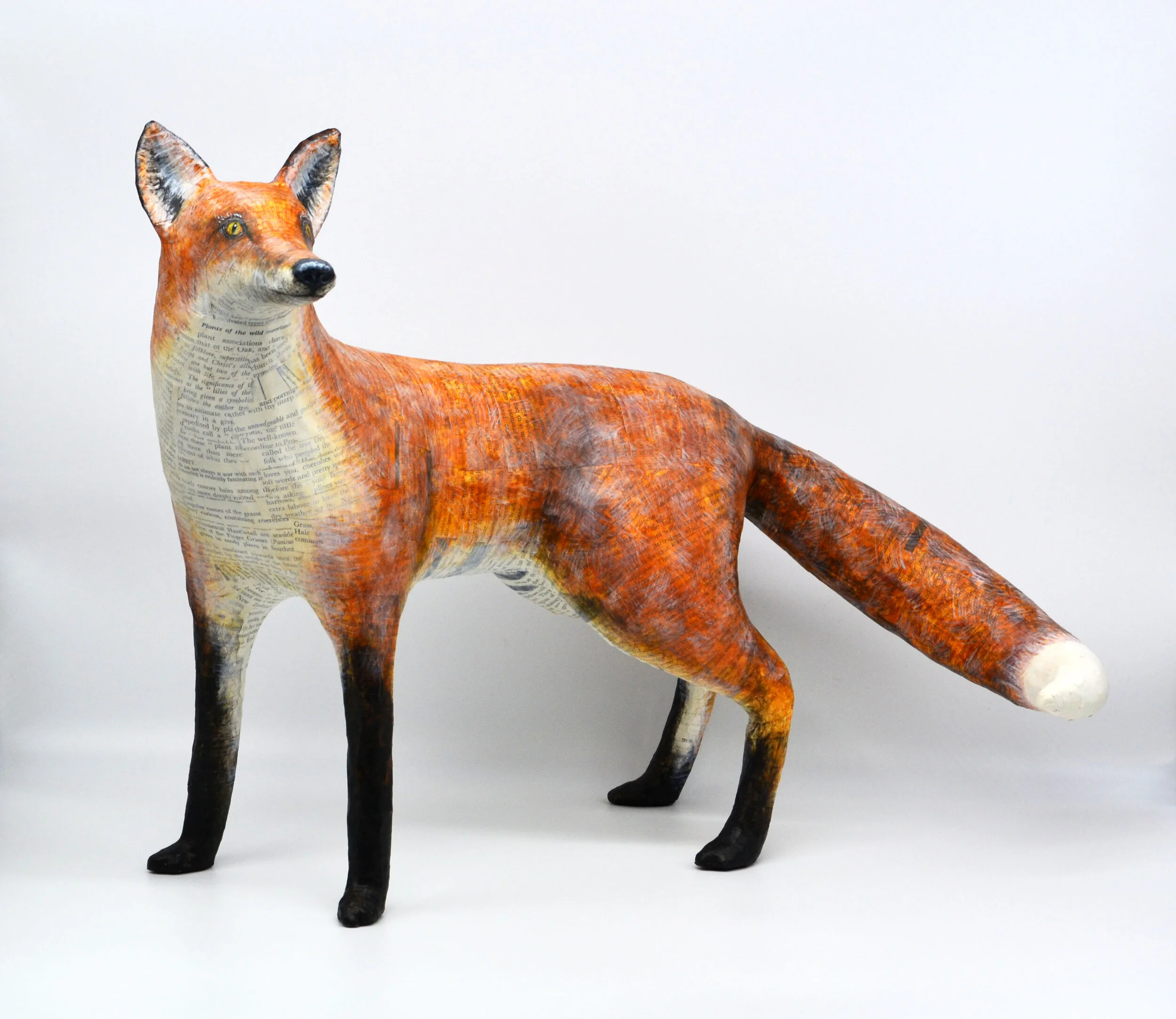 Fox — Suzanne Breakwell